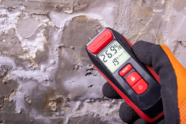 Best Office Mold Removal Services  in Montgomery, AL