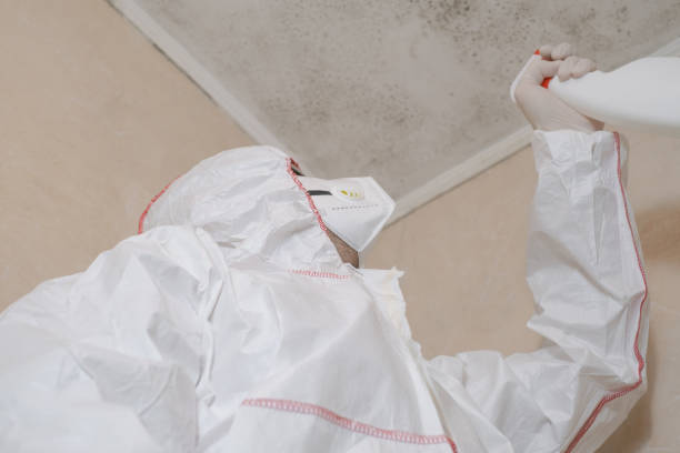 Best Mold Damage Repair  in Montgomery, AL