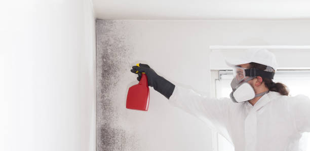 Best Mold Cleaning Services  in Montgomery, AL