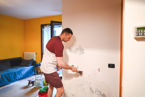 Professional Mold Removal in Montgomery, AL